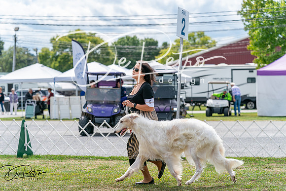 20250829-DSC09521