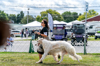 20250829-DSC09527