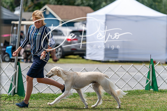 20250829-DSC09530
