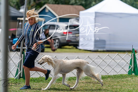 20250829-DSC09531