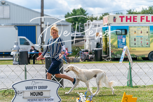 20250829-DSC09542