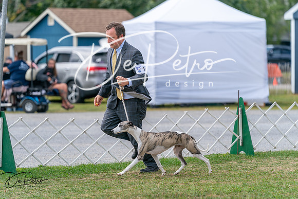 20250829-DSC09572