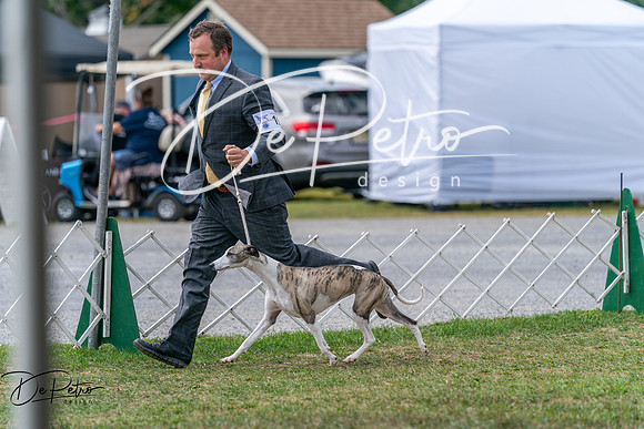 20250829-DSC09576