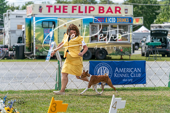 20250829-DSC09588