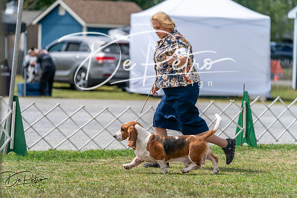 20250829-DSC09606