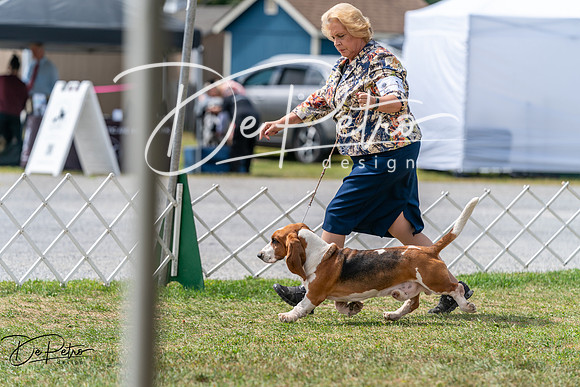 20250829-DSC09611