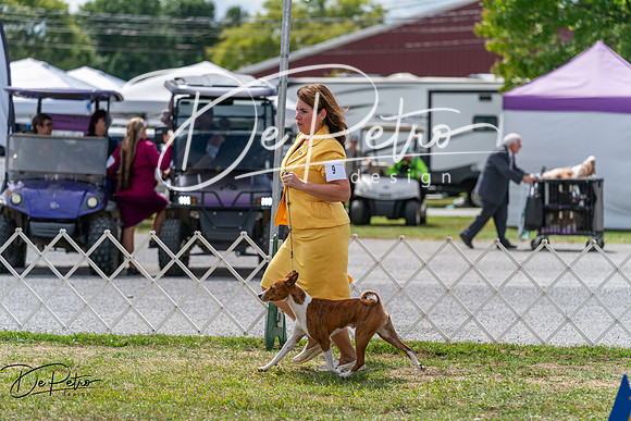 20250829-DSC09662