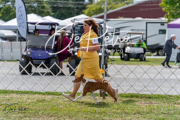 20250829-DSC09665