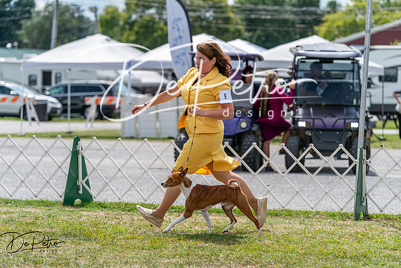 20250829-DSC09672