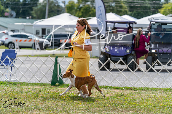 20250829-DSC09676