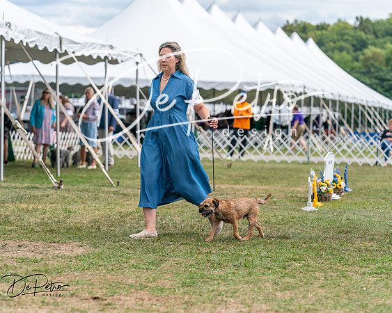 20250829-DSC00005