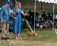 20250829-DSC00012