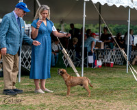 20250829-DSC00013