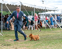 20250829-DSC00039
