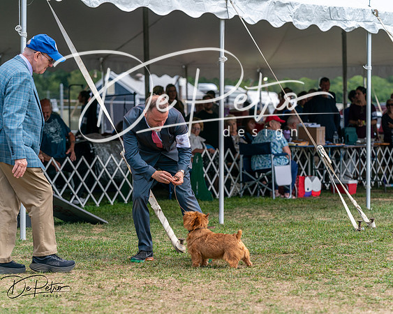 20250829-DSC00050