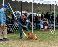 20250829-DSC00051