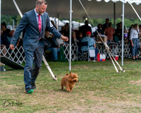 20250829-DSC00054