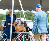 20250829-DSC00063