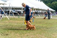 20250829-DSC00070