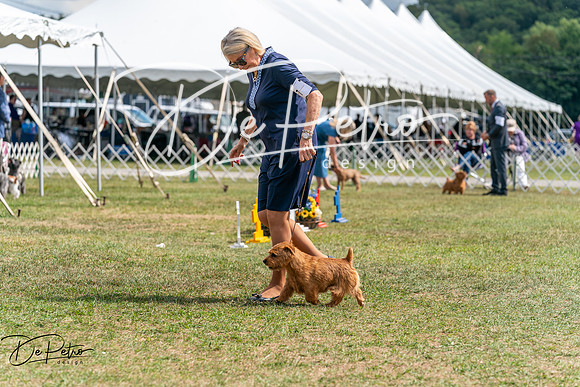 20250829-DSC00070