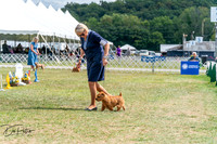 20250829-DSC00068