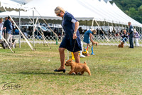 20250829-DSC00072