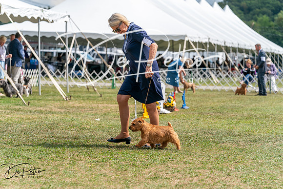 20250829-DSC00072