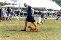 20250829-DSC00075