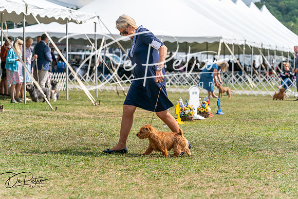 20250829-DSC00075