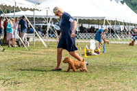 20250829-DSC00076