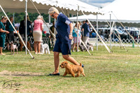 20250829-DSC00077