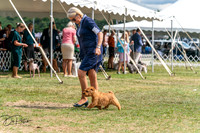 20250829-DSC00080