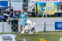 20250829-DSC00100