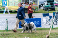 20250829-DSC00117
