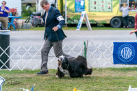 20250829-DSC00140