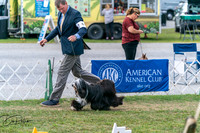 20250829-DSC00132