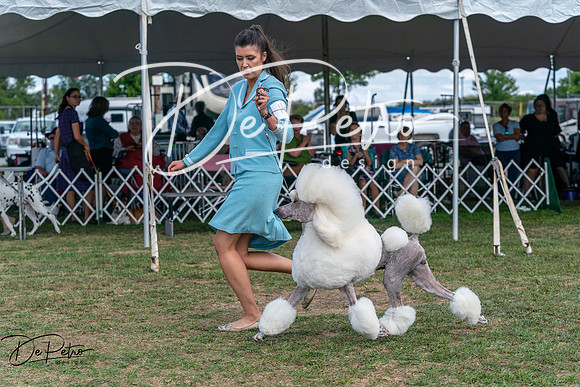 20250829-DSC00152