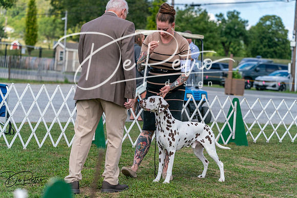 20250829-DSC00173