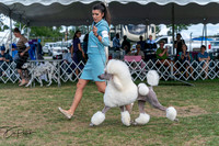 20250829-DSC00157