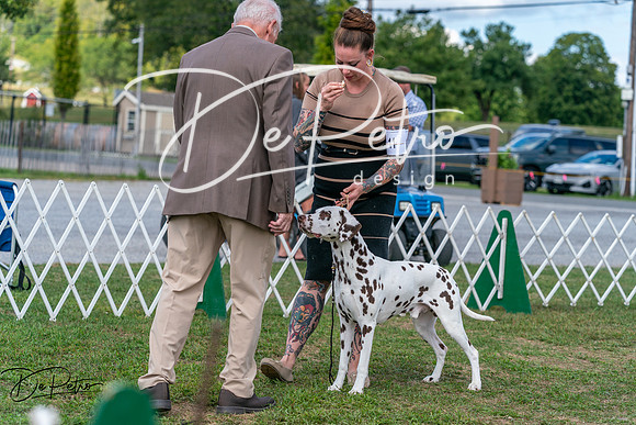 20250829-DSC00174