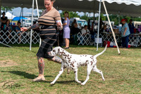 20250829-DSC00179