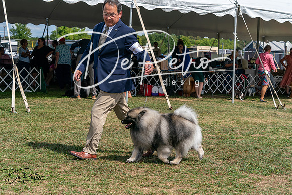 20250829-DSC00196