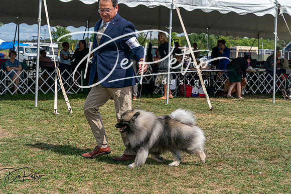 20250829-DSC00200