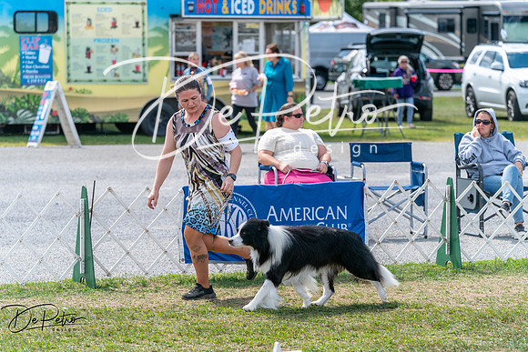 20250829-DSC00631