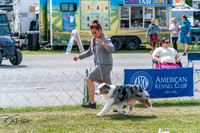 20250829-DSC00629