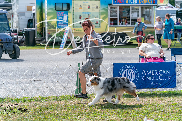 20250829-DSC00629