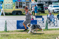 20250829-DSC00621