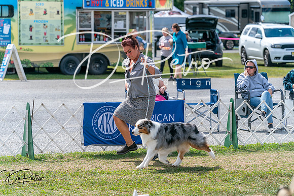 20250829-DSC00621