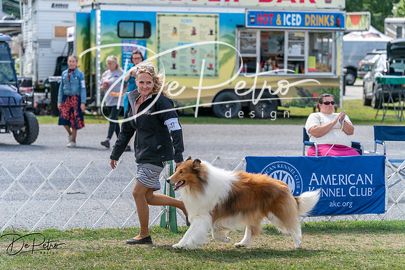 20250829-DSC00661