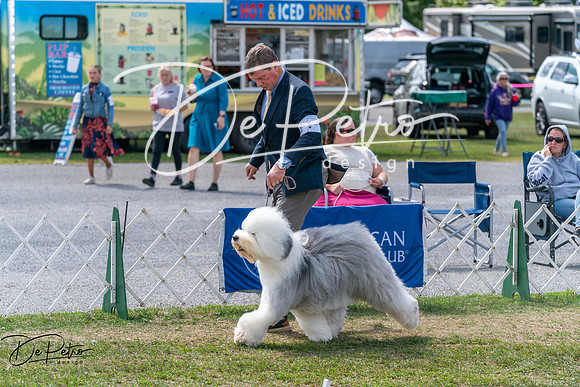 20250829-DSC00646